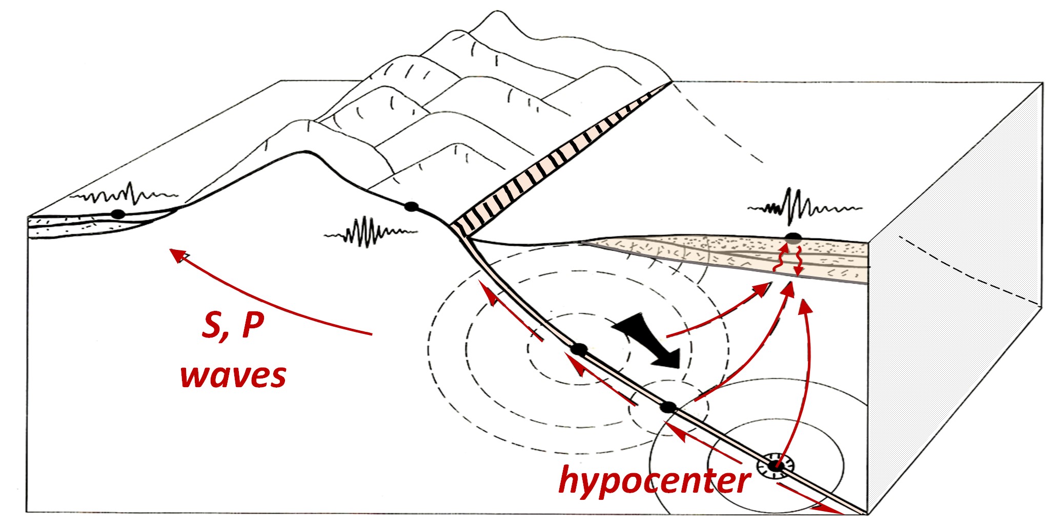 Waves emanated from the seismic fault travelling towards the ground surface.