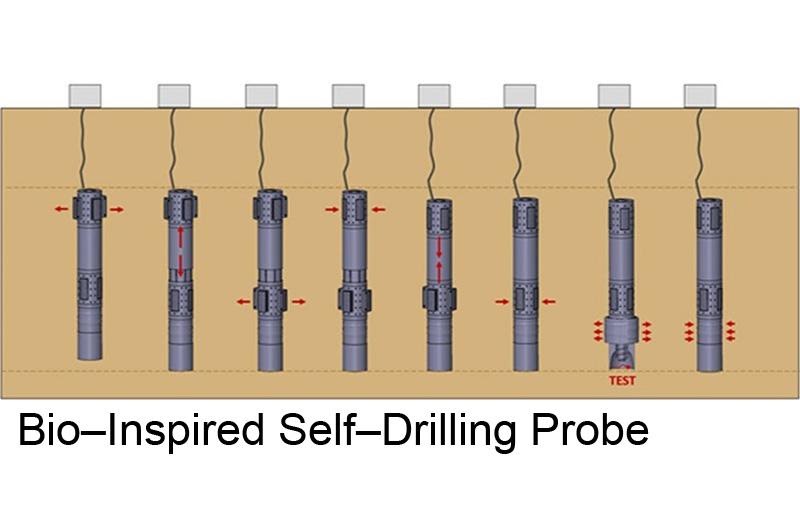 Bio-Inspired Self-Drilling Probe